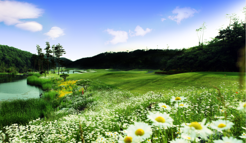 클럽하우스 라운지